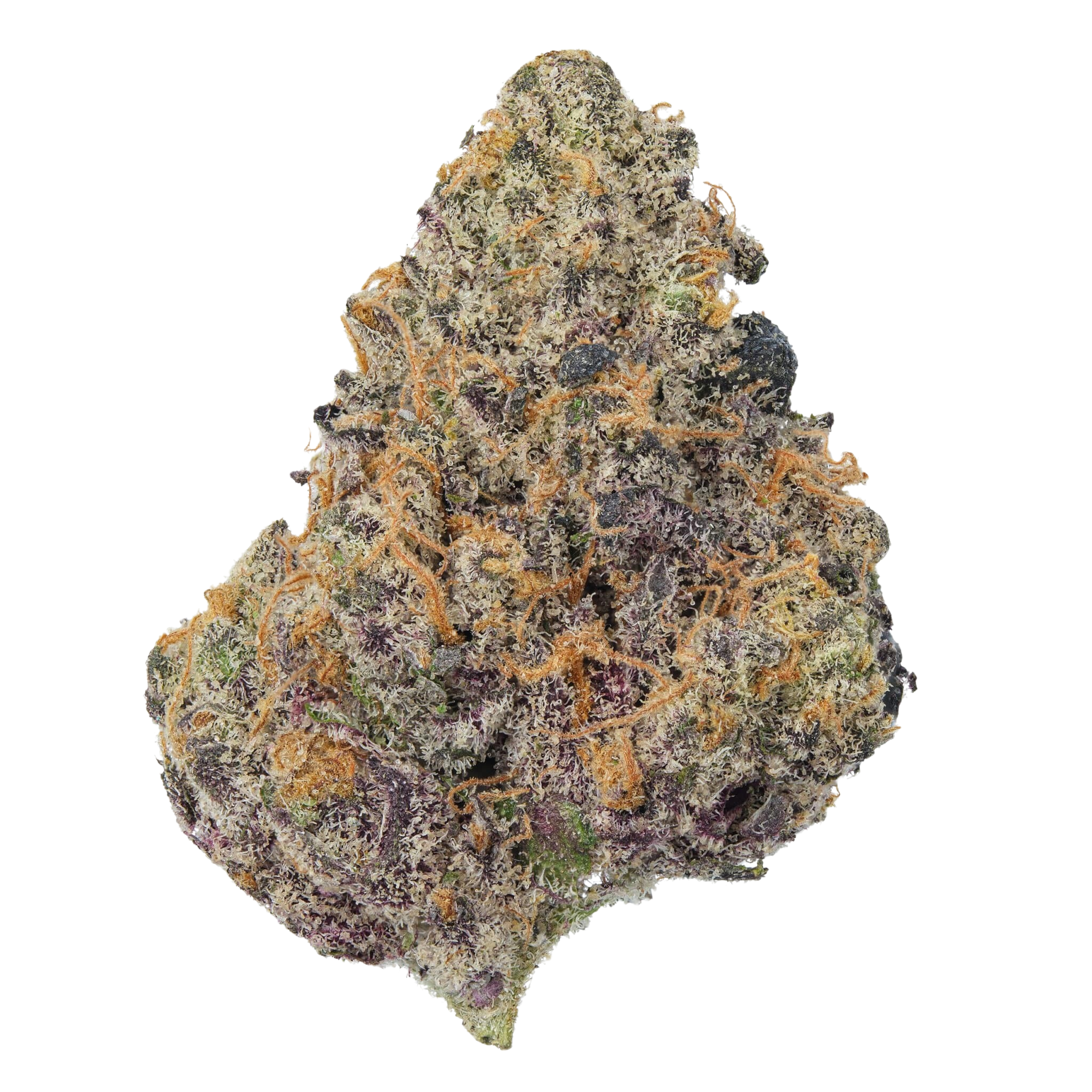 Lemon Cherry Gelato